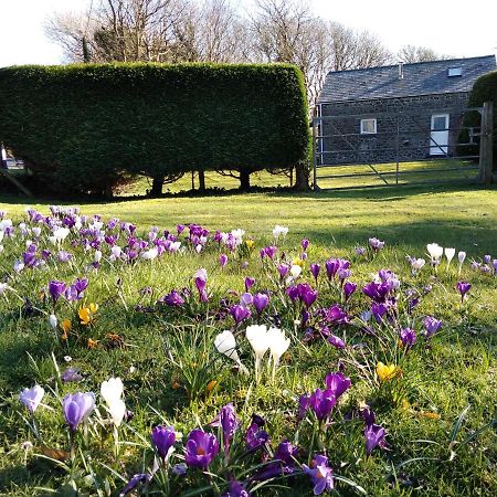 Ty R Pwmp Villa Haverfordwest Dış mekan fotoğraf