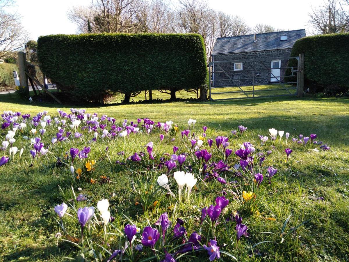 Ty R Pwmp Villa Haverfordwest Dış mekan fotoğraf